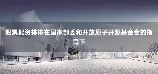 股票配资排排在国家部委和开放原子开源基金会的指导下