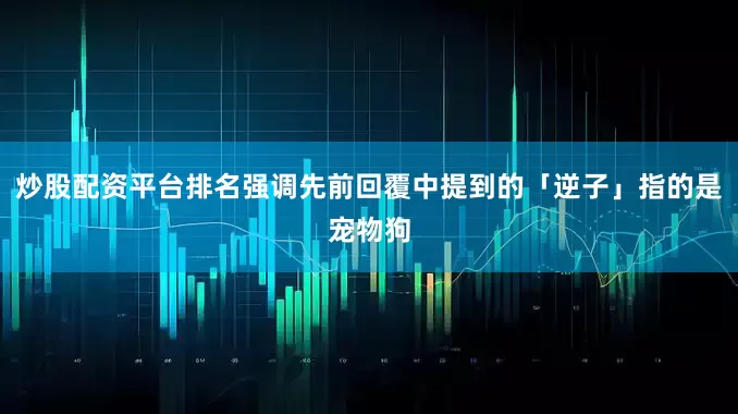 炒股配资平台排名强调先前回覆中提到的「逆子」指的是宠物狗